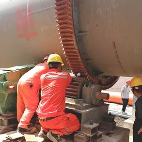 التدريب والدعم الفني